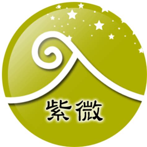 星橋紫微斗數|星僑命理服務